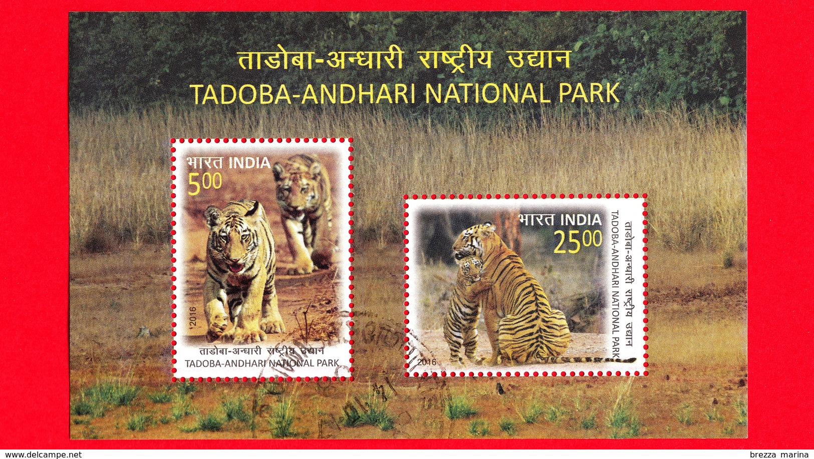 INDIA  - Usato - 2016 - Parco Nazionale Tadoba-Andhari - Felini Predatori  - Tigri - Tiger (Panthera Tigris) - BF - Blocks & Sheetlets