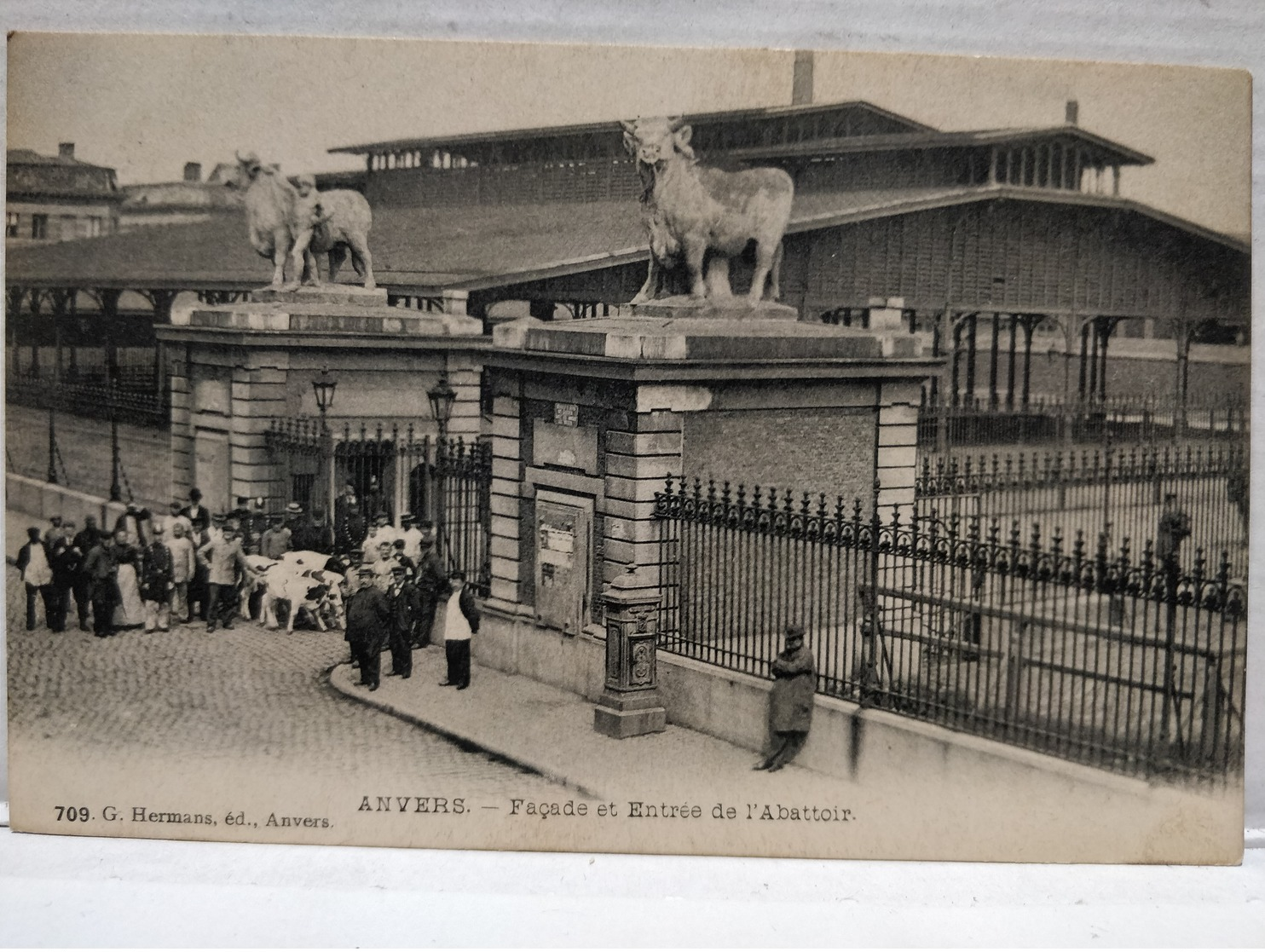 Anvers. Façade Et Entrée De L'Abattoir. Edit G.Hermans, Anvers. Animée. Vaches. Non Circulé - Antwerpen