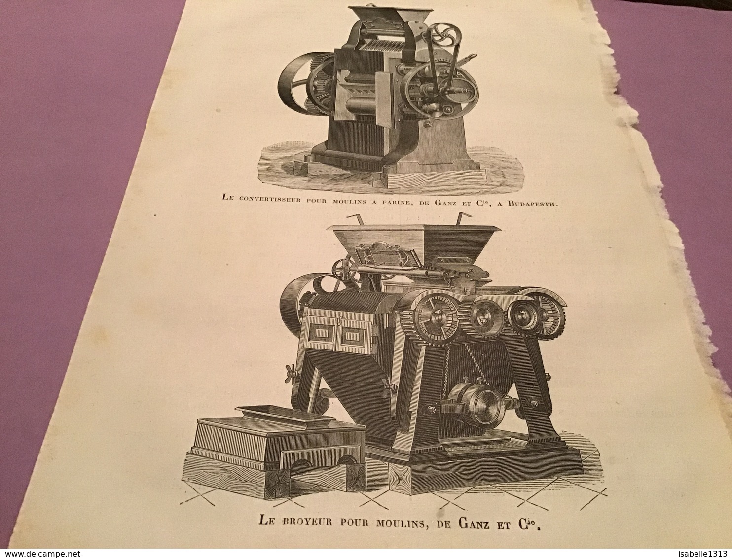 Une Page  Du Live Les Merveille De L’exposition  Le Convertisseur Pour Moulin à Farine Le Broyeur Pour Moulins De Ganz À - Machines