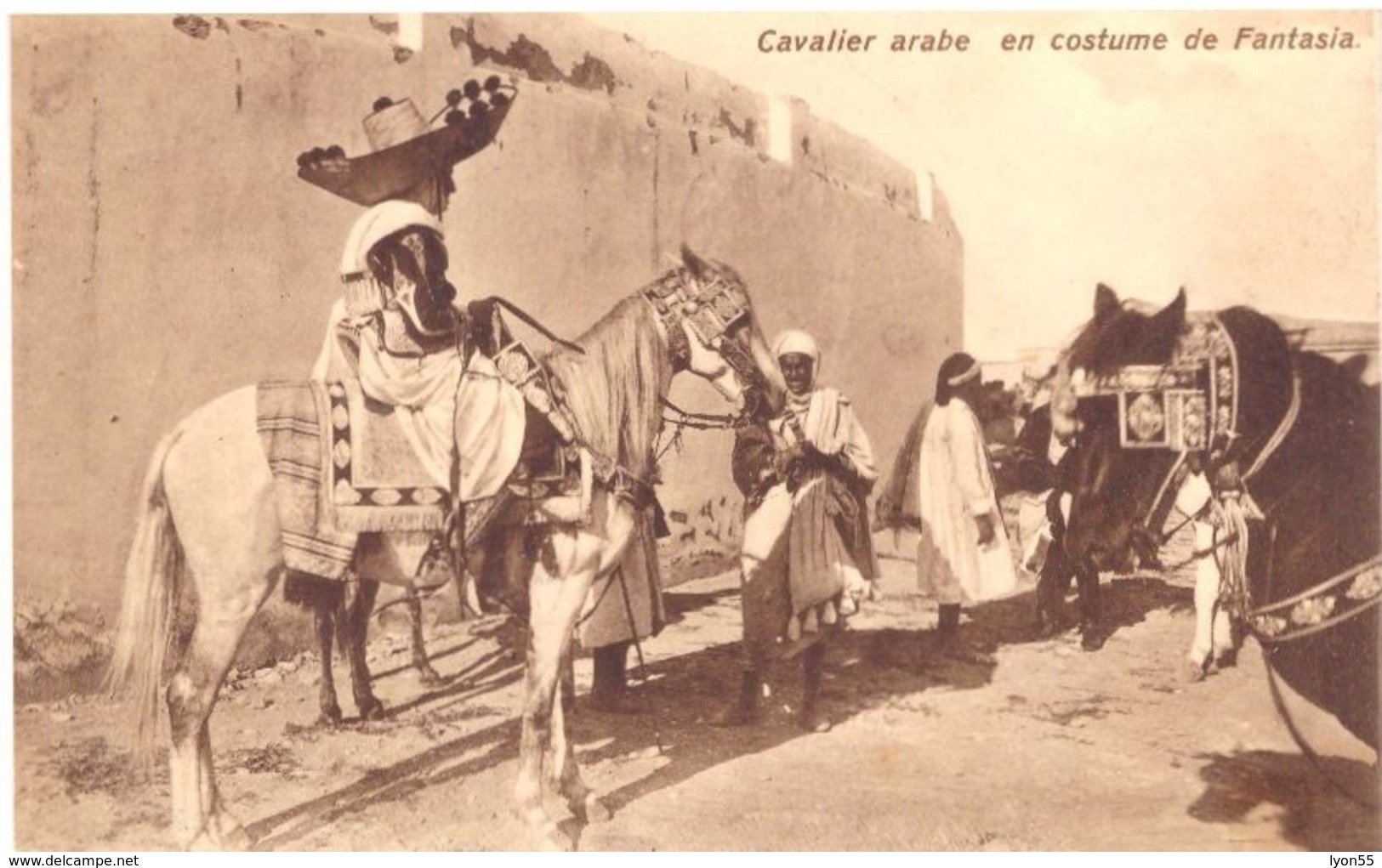 Cavalier Arabe En Costume De Fantasia - Tunesien
