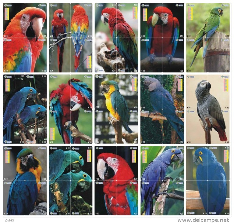 B02184 China Phone Cards Parrot Puzzle 60pcs - Papegaaien & Parkieten