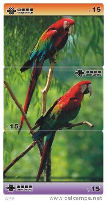 B02149 China Parrot Puzzle 3pcs - Parrots