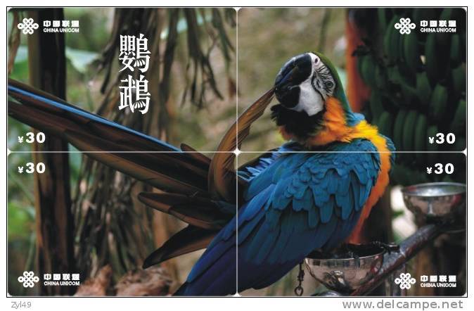 B02132 China Parrot Puzzle 4pcs - Papegaaien & Parkieten