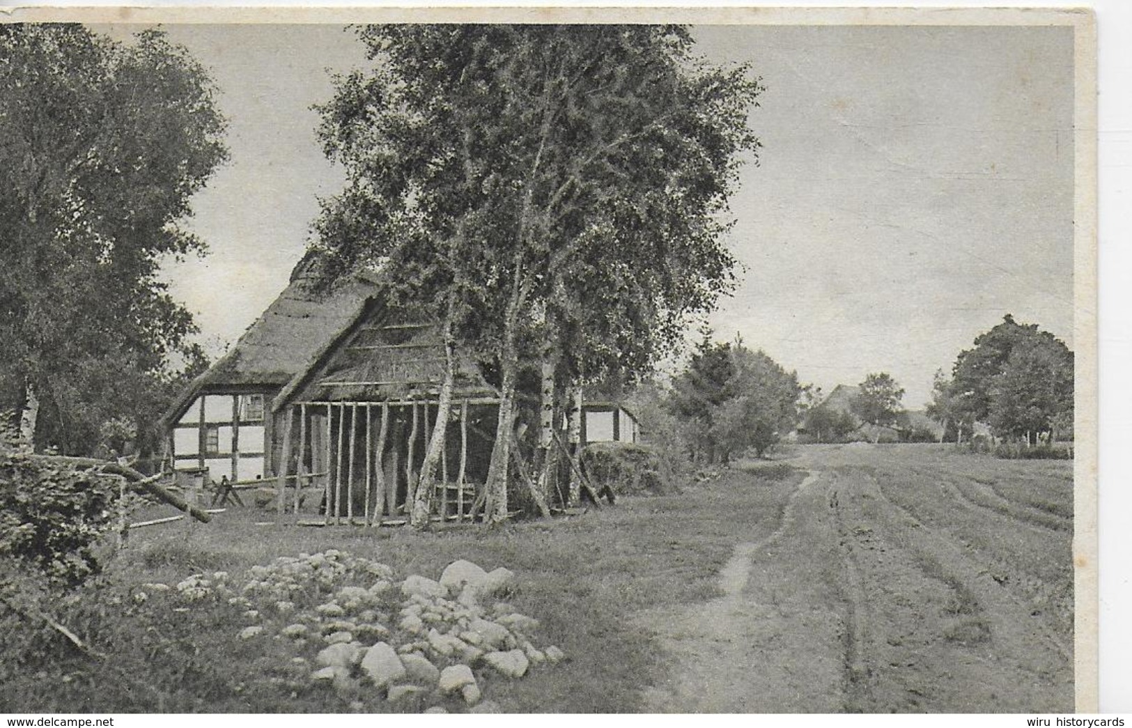 AK 0060  Malerische Dorfstätten ( Bauernhof , Bäume ) - Motiv Um 1913 - Bäume