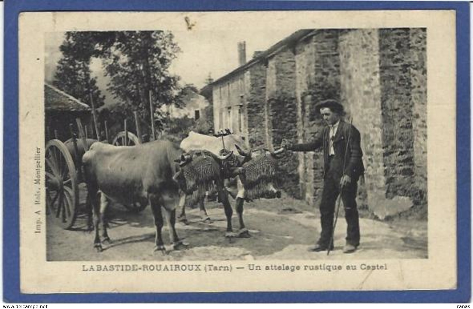 CPA TARN 81 Labastide Rouairoux Attelage Métier Circulé - Other & Unclassified