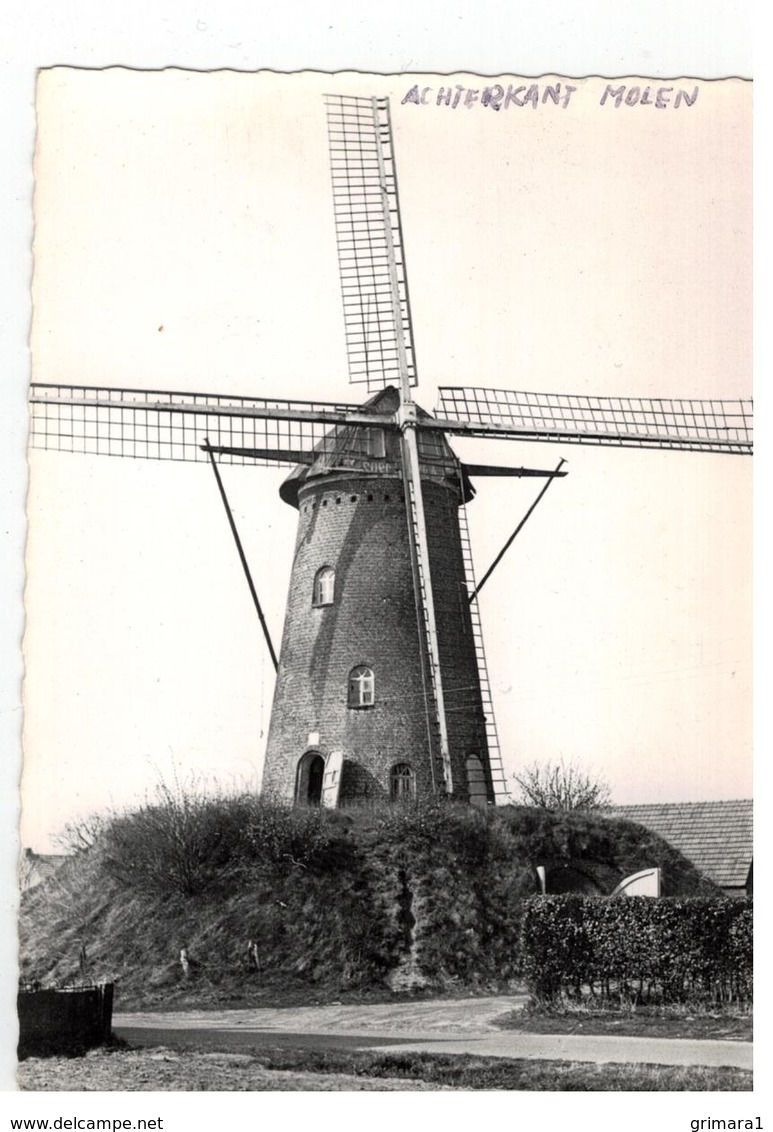 HOOGSTRATEN De Enig Overblijvende En Komplete Windmolen - Hoogstraten