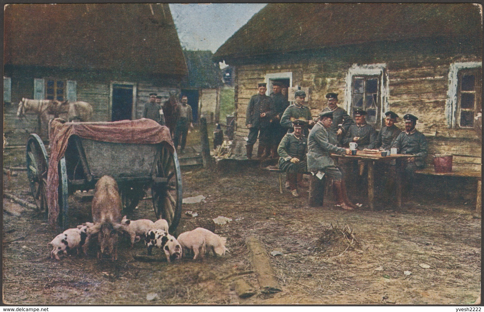 Allemagne 1916. Carte De Franchise Militaire. Des Soldats Allemands Regardent Une Truie Et Ses Porcelets - Agriculture