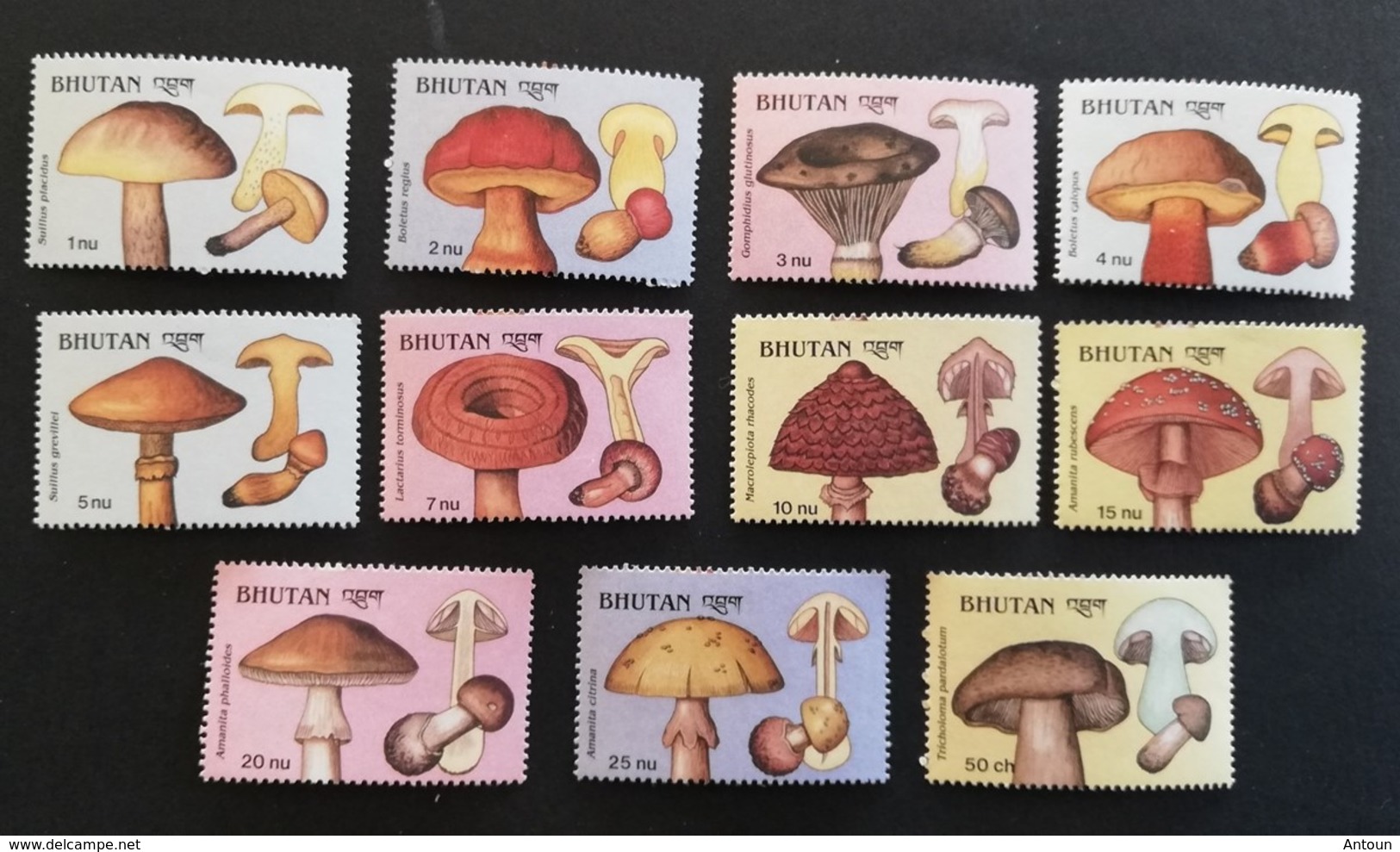 Bhutan 1989  Mushrooms - Bhoutan