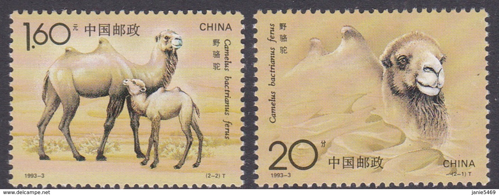 China People's Republic SG 3838-3839 1993 Bactrian Camel, Mint Never Hinged - Neufs