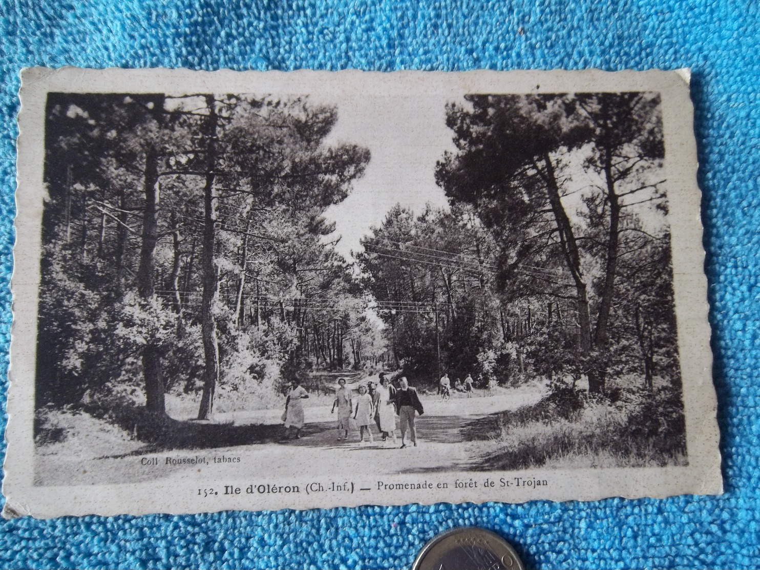 Ile D'Oléron-pronenade En Forêt De Saint Trojan - Ile D'Oléron