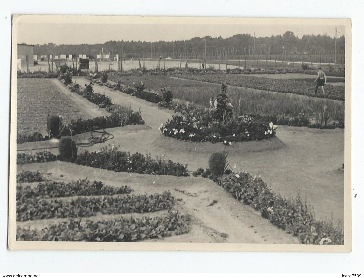 MILITAIRES - Prisonniers Français à OFFLAG IVD - 5 Photos 10.3 x 7.3 cm