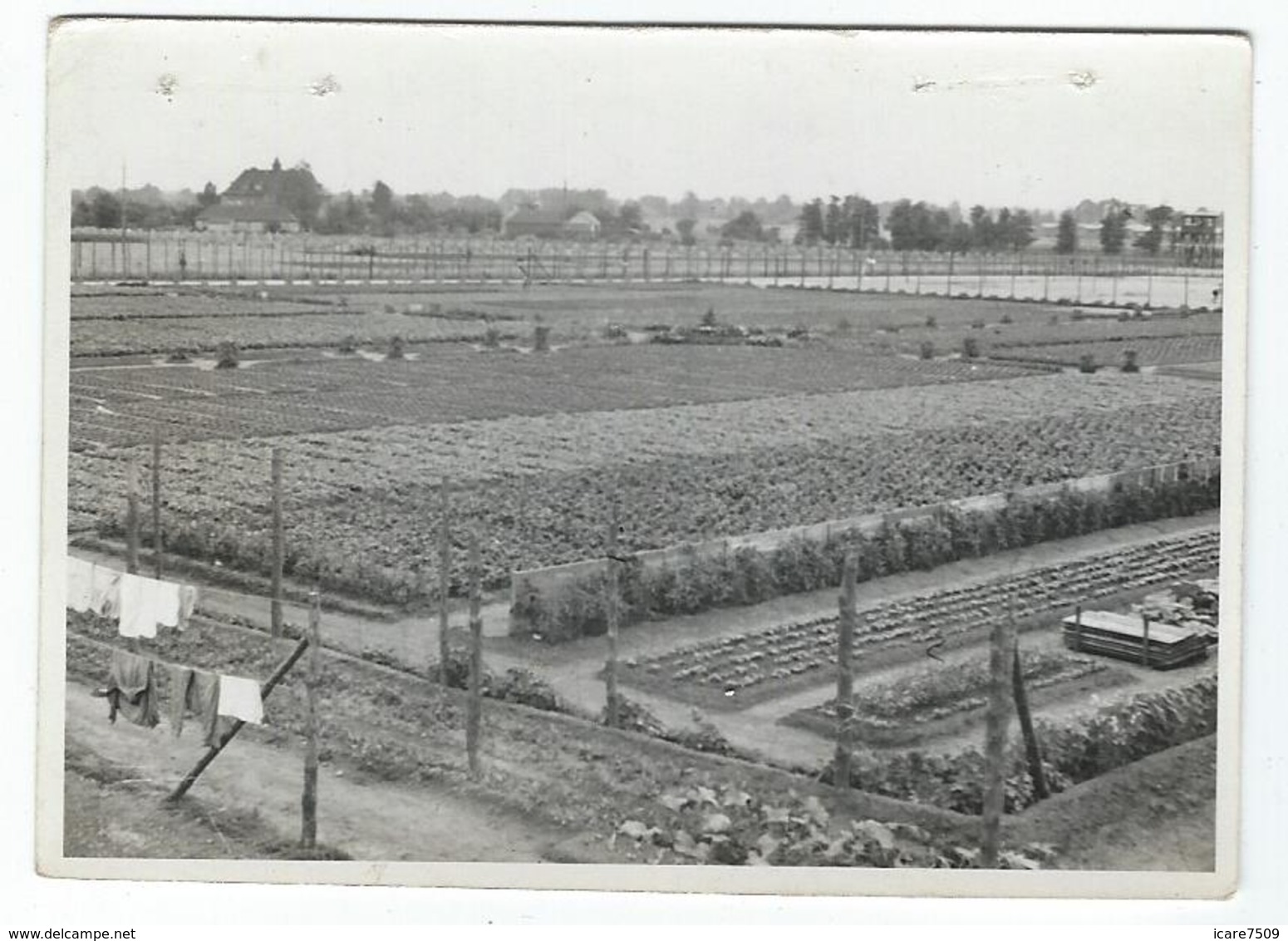 MILITAIRES - Prisonniers Français à OFFLAG IVD - 3  Photos 10.2 x 7.2 cm