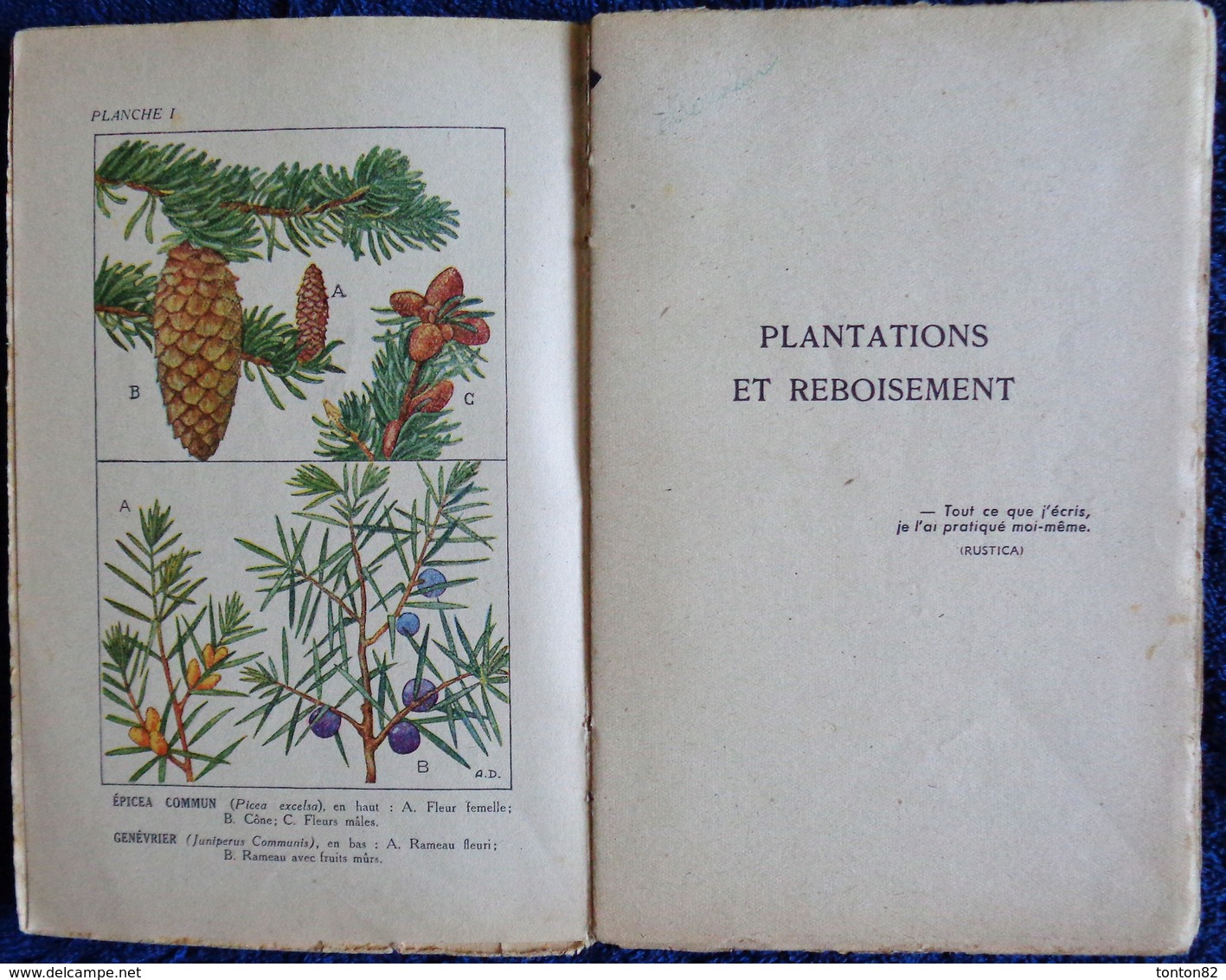 R. Guinot - Plantations Et Reboisement - Collection RUSTICA - Éditions De Montsouris - ( 1945 ) . - Garden