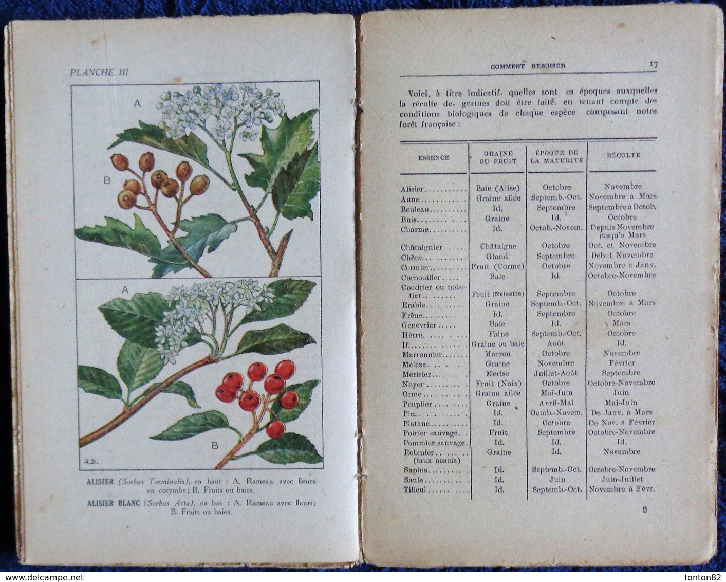 R. Guinot - Plantations et Reboisement - Collection RUSTICA - Éditions De Montsouris - ( 1945 ) .