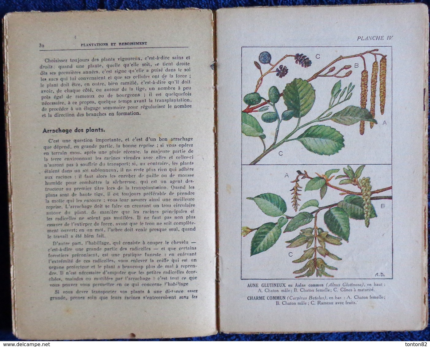 R. Guinot - Plantations et Reboisement - Collection RUSTICA - Éditions De Montsouris - ( 1945 ) .