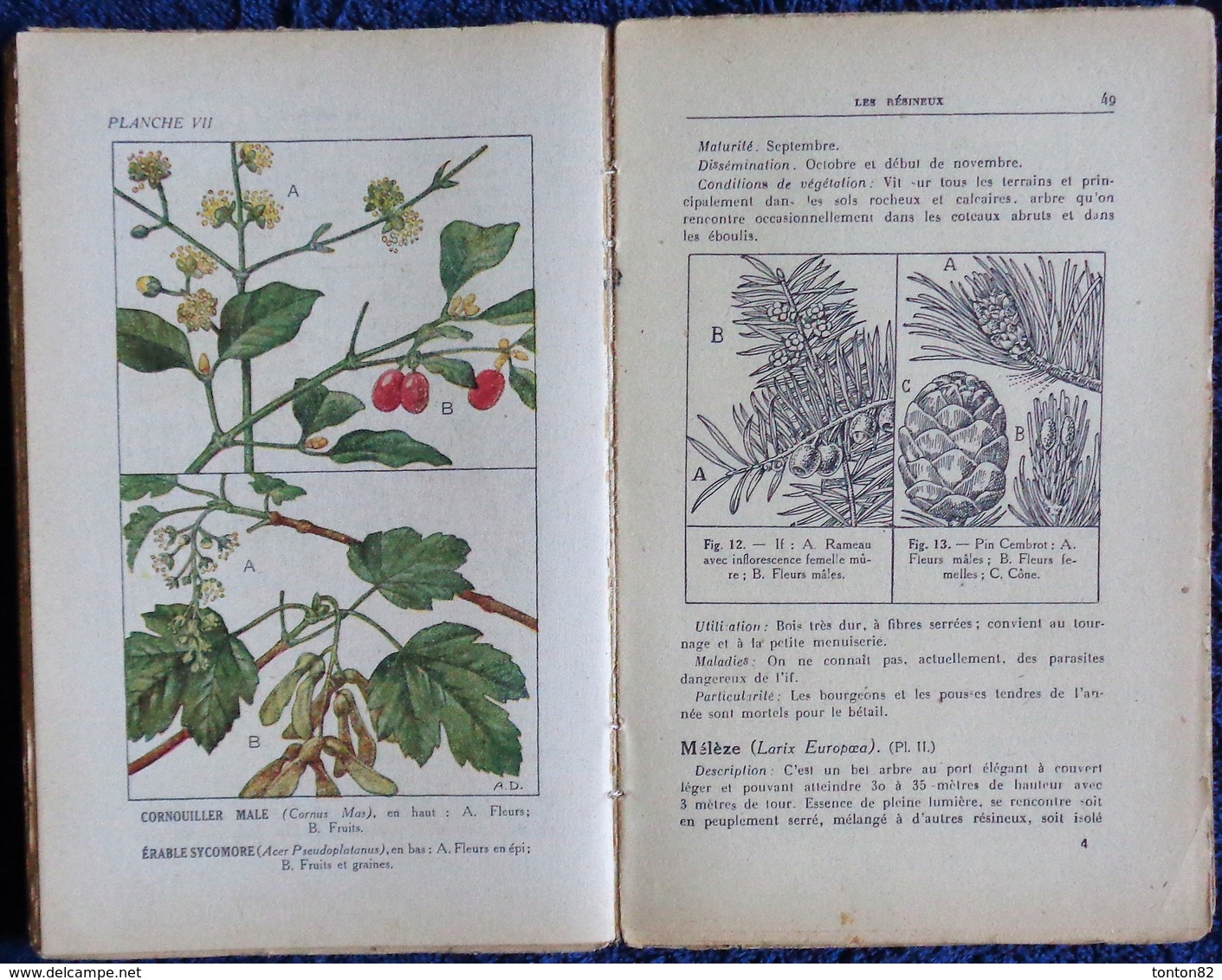 R. Guinot - Plantations et Reboisement - Collection RUSTICA - Éditions De Montsouris - ( 1945 ) .