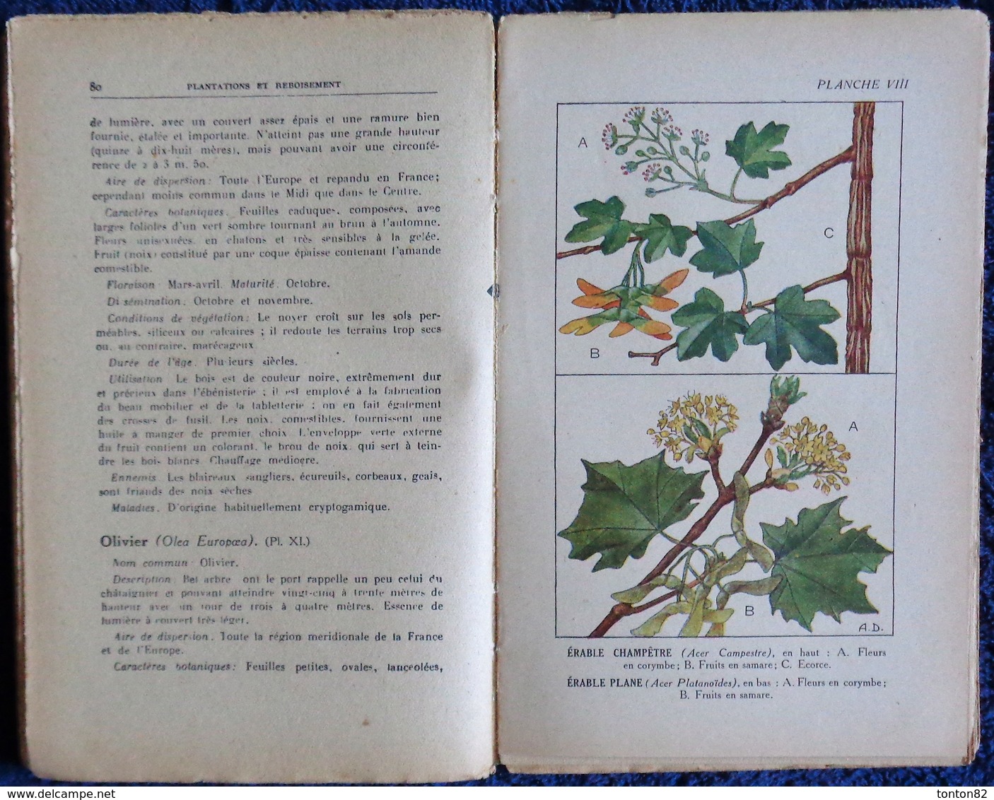 R. Guinot - Plantations et Reboisement - Collection RUSTICA - Éditions De Montsouris - ( 1945 ) .