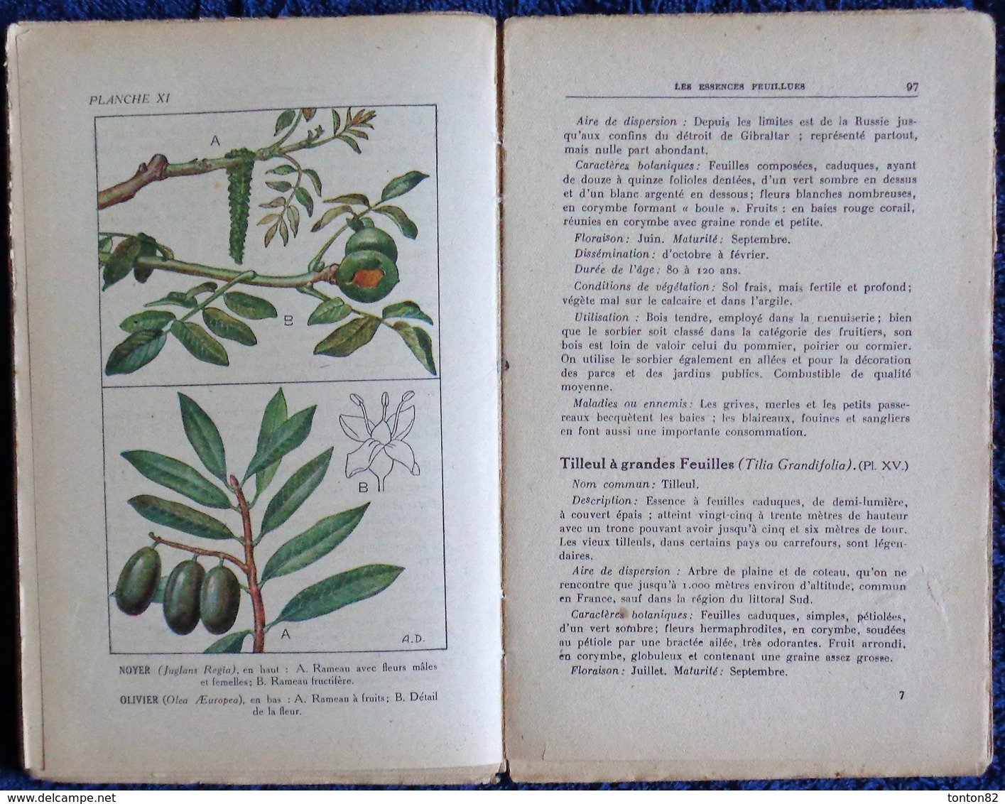 R. Guinot - Plantations et Reboisement - Collection RUSTICA - Éditions De Montsouris - ( 1945 ) .