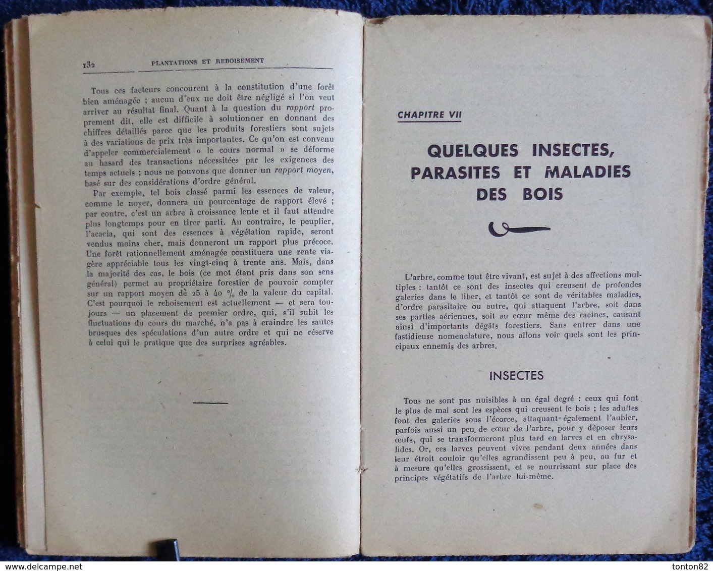 R. Guinot - Plantations et Reboisement - Collection RUSTICA - Éditions De Montsouris - ( 1945 ) .