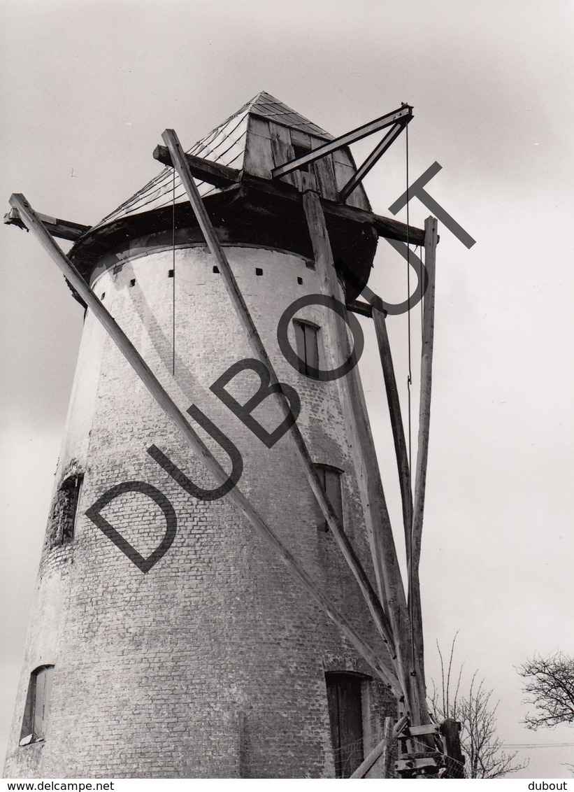 Schelderode Molen/Moulin Originele Foto B3 - Merelbeke