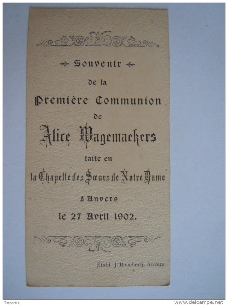 Communion 1902 Anvers Alice Wagemaekers Image Pieuse Holy Card Santini Bouasse-Lebel 2146 - Images Religieuses