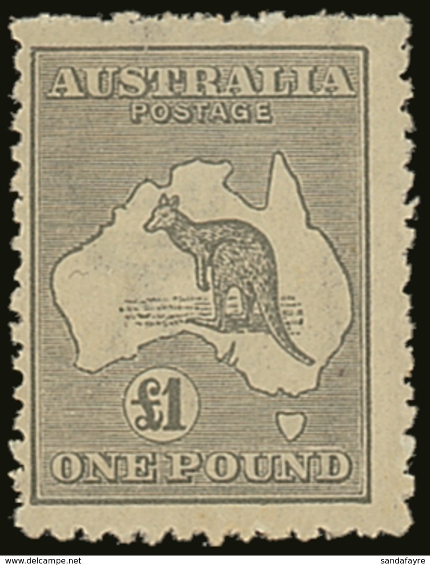 1923-24 £1 Grey Kangaroo, SG 75, Very Lightly Hinged Mint (near NH), Centered To Left, Fresh Colour. For More Images, Pl - Autres & Non Classés