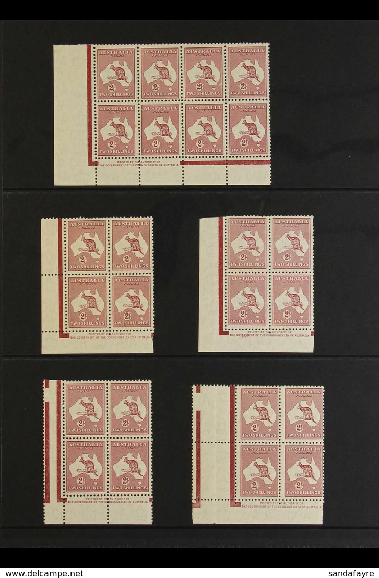 1945 MINT 2S KANGAROO MULTIPLES. An Attractive Selection Of The redrawn 2s Maroon Kangaroo (SG 212), With Imprint Corner - Autres & Non Classés