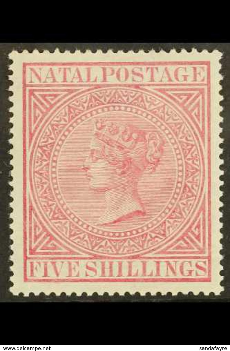 NATAL 1874-99 5s Rose, SG 72, Fine Never Hinged Mint, Tiny Natural Intrusion In Gum And Small Corner Wrinkle, Very Nice  - Non Classificati