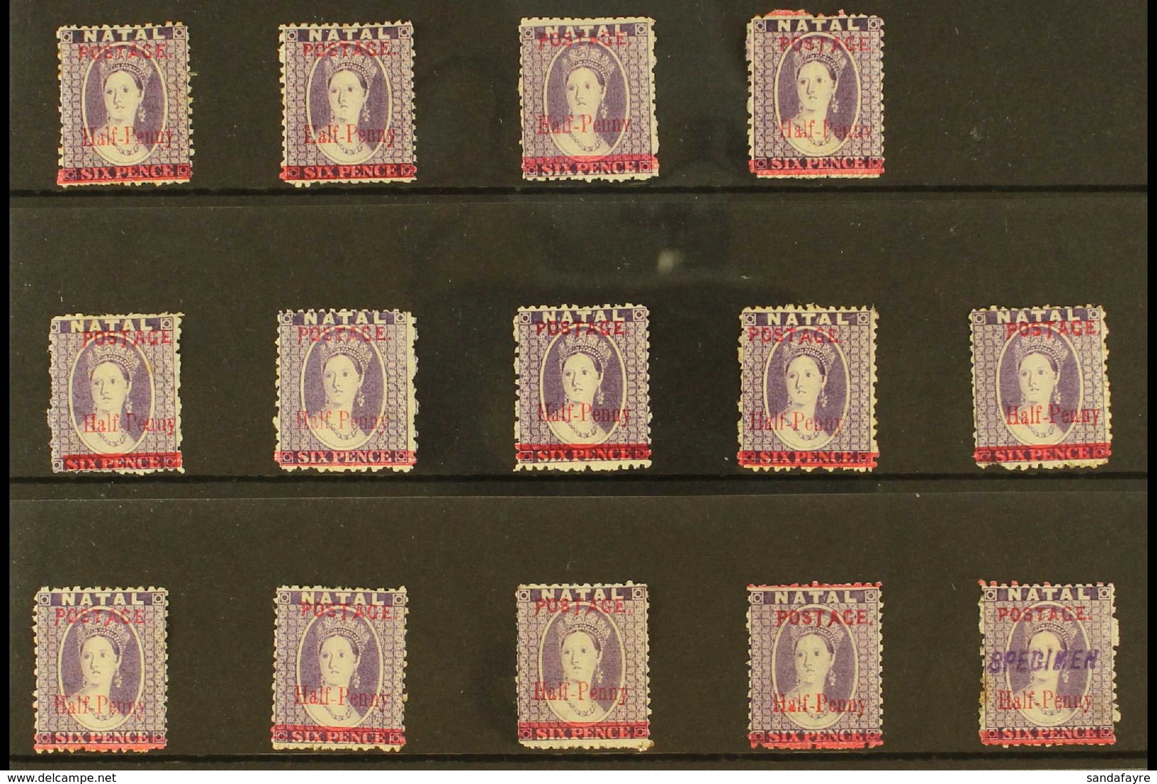 NATAL 1895 MINT SURCHARGED COLLECTION. An All Different Selection Of The ½d On 6d Chalon Issue, A Complete Run Of All Va - Non Classés
