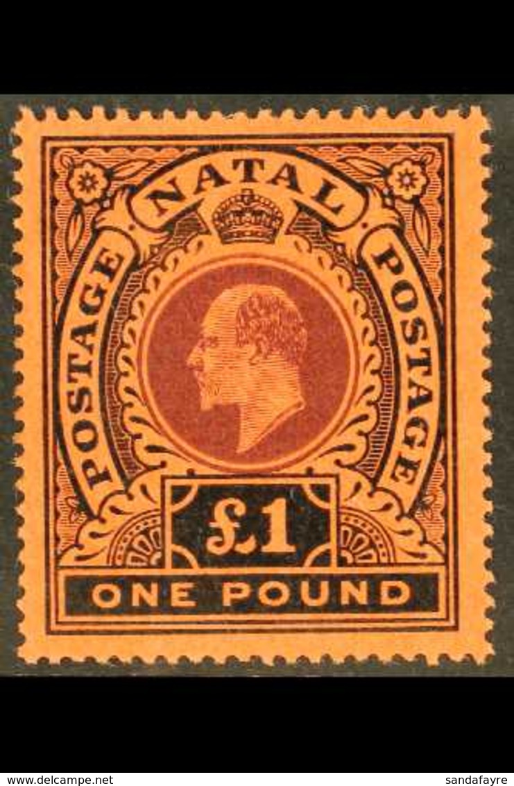 NATAL 1908-09 £1 Purple And Black On Red, SG 171, Very Fine Mint.  For More Images, Please Visit Http://www.sandafayre.c - Non Classés