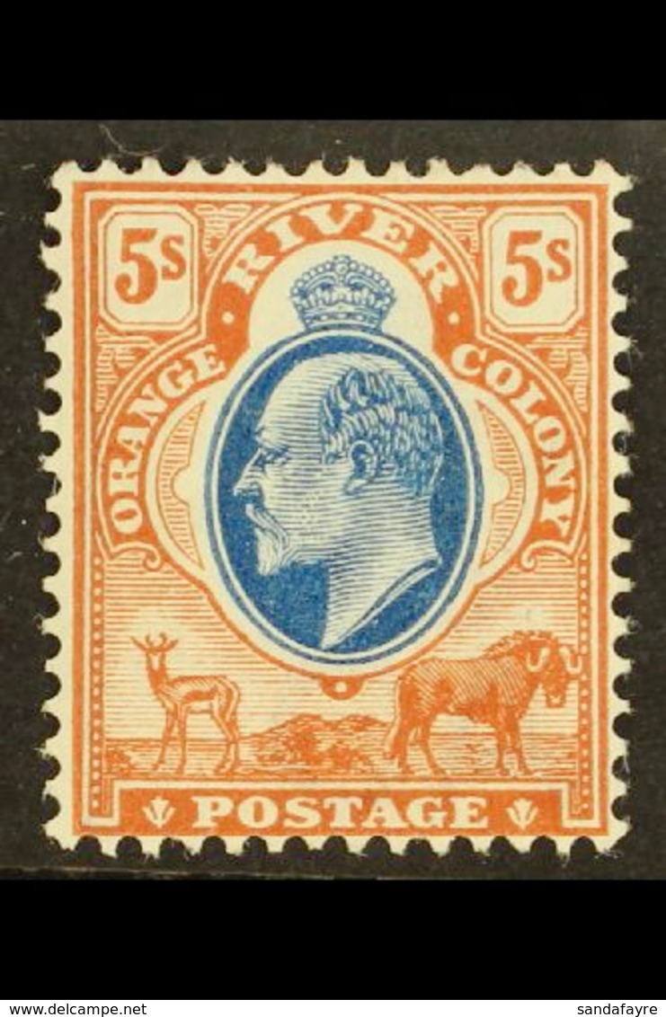 ORANGE FREE STATE 1903 5s Blue And Brown, Ed VII, SG 147, Fresh Mint. For More Images, Please Visit Http://www.sandafayr - Non Classés