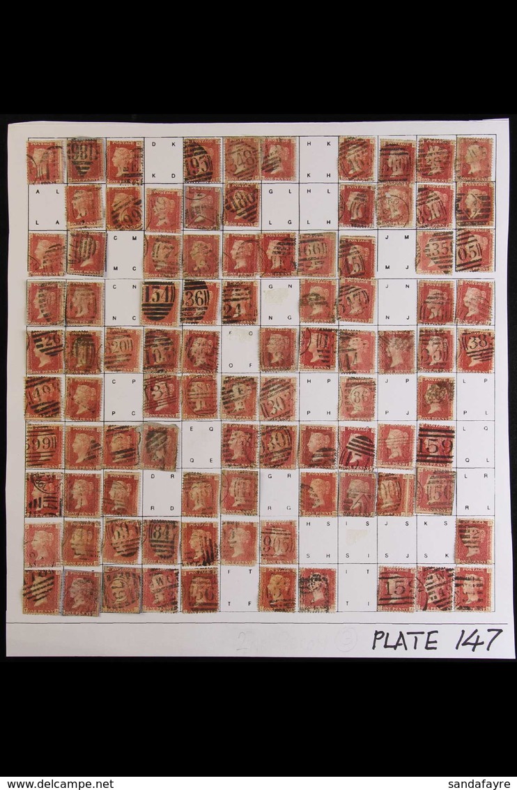 1864-79 PENNY RED PARTIAL PLATE RECONSTRUCTION PLATE 147 - A Partly Complete Used Reconstruction With 188 Of The 240 Che - Autres & Non Classés