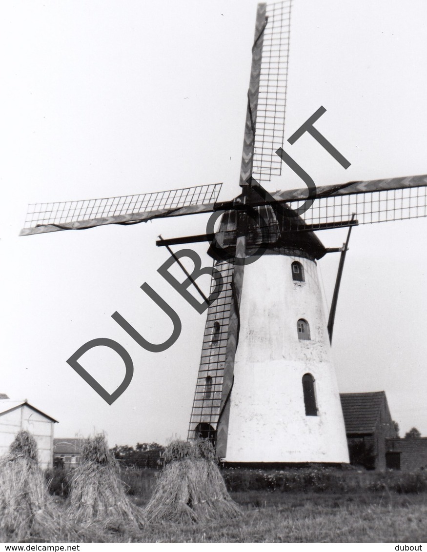 Gierle Molen/Moulin Originele Foto Jaren '70 B16 - Lille