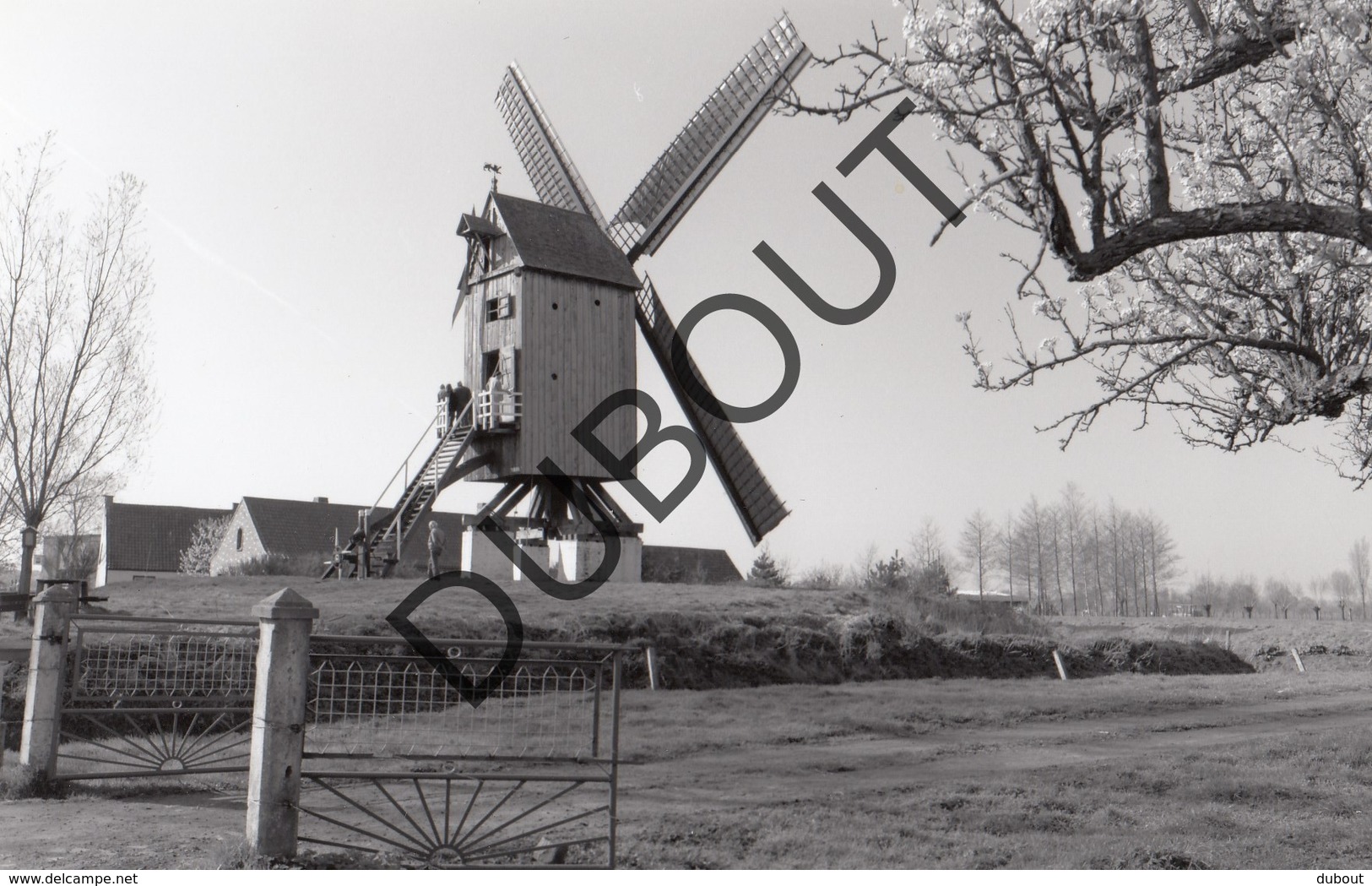 Lembeke Molen/Moulin Originele Foto  B18 - Kaprijke