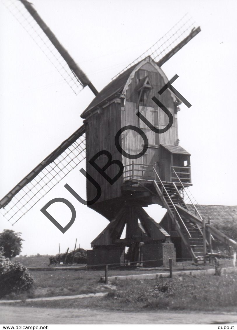 Zittaart Molen/Moulin Originele Foto Jaren '70  B19 - Meerhout