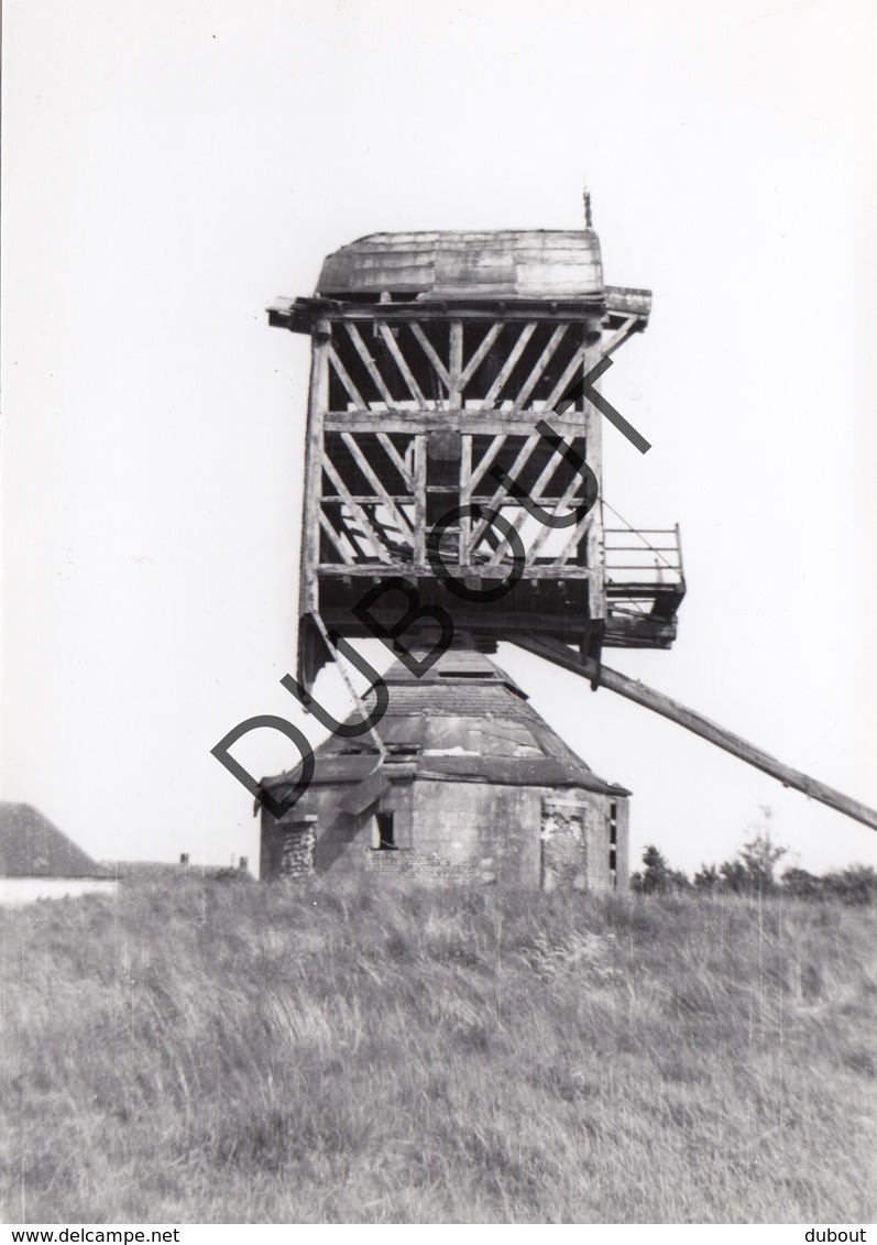 Pulle Molen/Moulin  Foto Jaren '60 B27 - Zandhoven