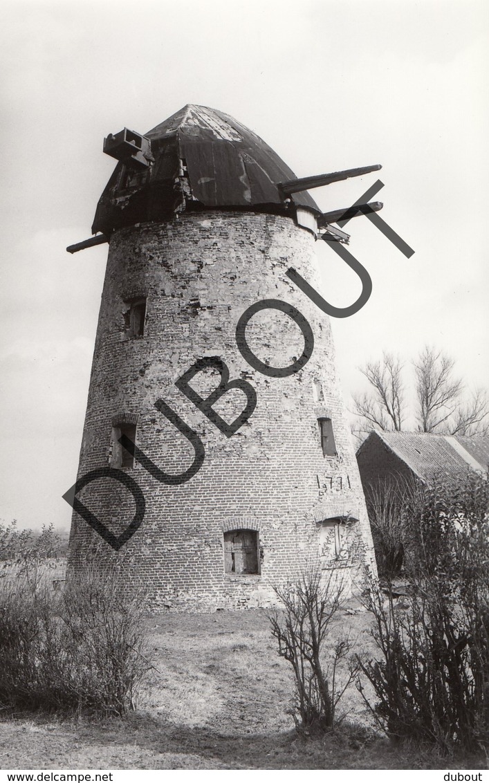 Dikkelvenne Molen/Moulin B57 - Gavere