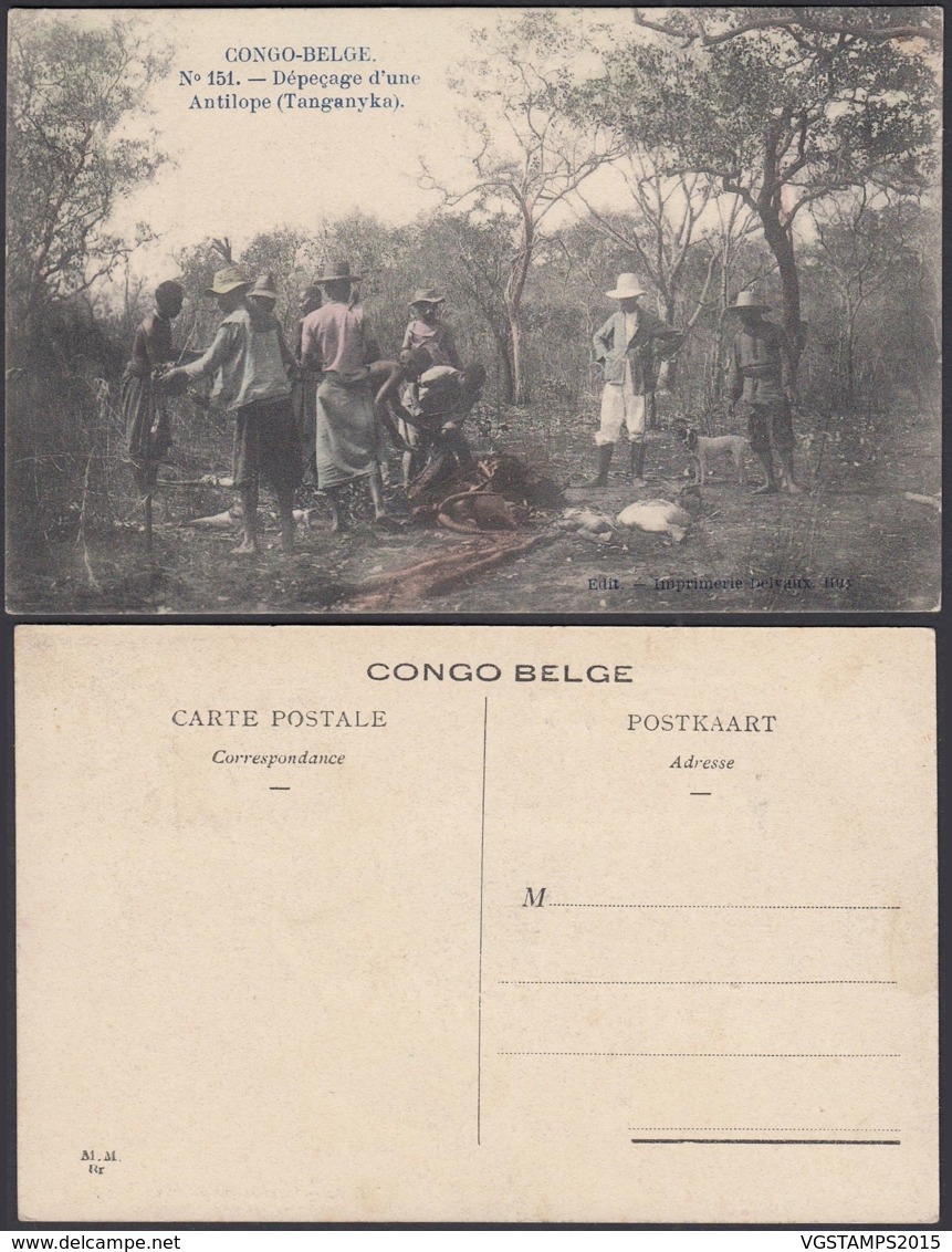 Congo Belge 1910 - Carte Postale Nr. 151.  Dépeçage D'une Antilope (Tanganyka)  Ref. (DD)  DC0283 - Congo Belge