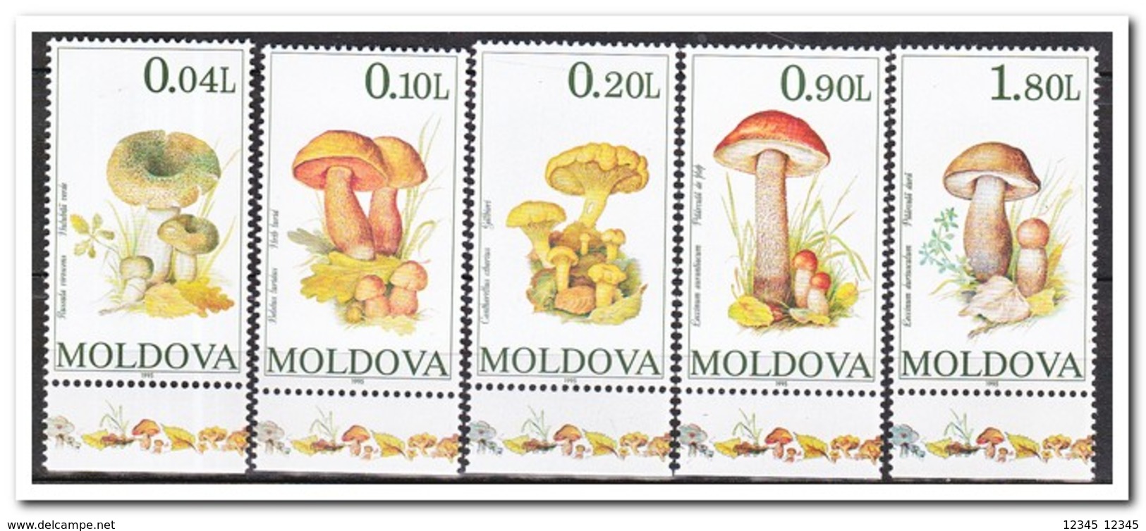 Moldavië 1995, Postfris MNH, Mushrooms - Moldavië