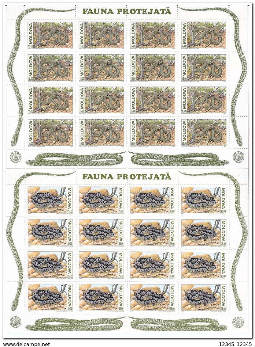 Moldavië 1993, Postfris MNH, WWF, Snakes - Moldavië