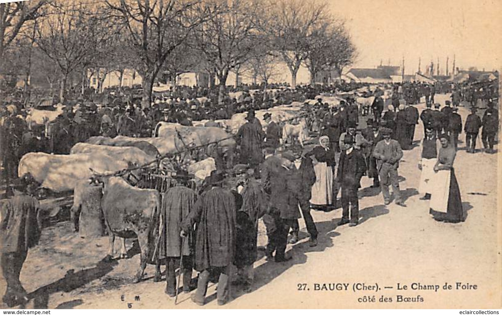 Baugy       18            Marché Aux Boeufs         (voir Scan) - Baugy