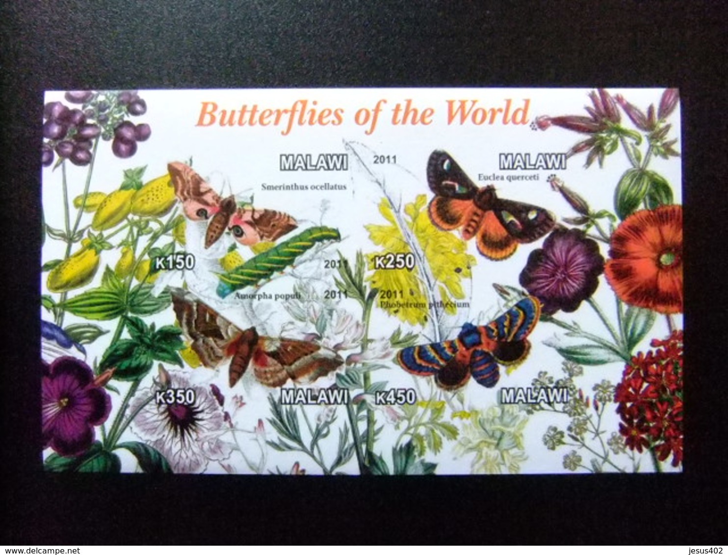 MALAWI Ex Nyassaland 2011 Fauna Butterflies Papillons Mariposas Yvert Bloc  Sin Dentar ** MNH - Malawi (1964-...)