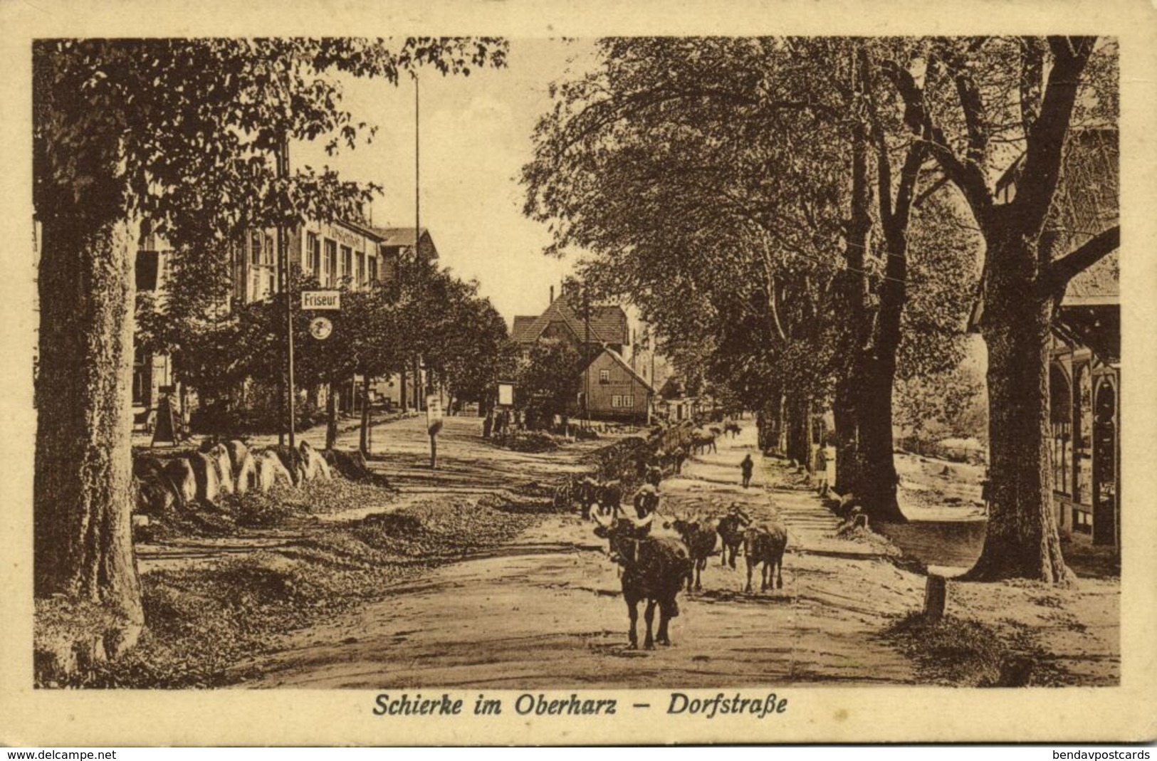 SCHIERKE Im Oberharz, Dorfstrasse (1910s) AK - Schierke