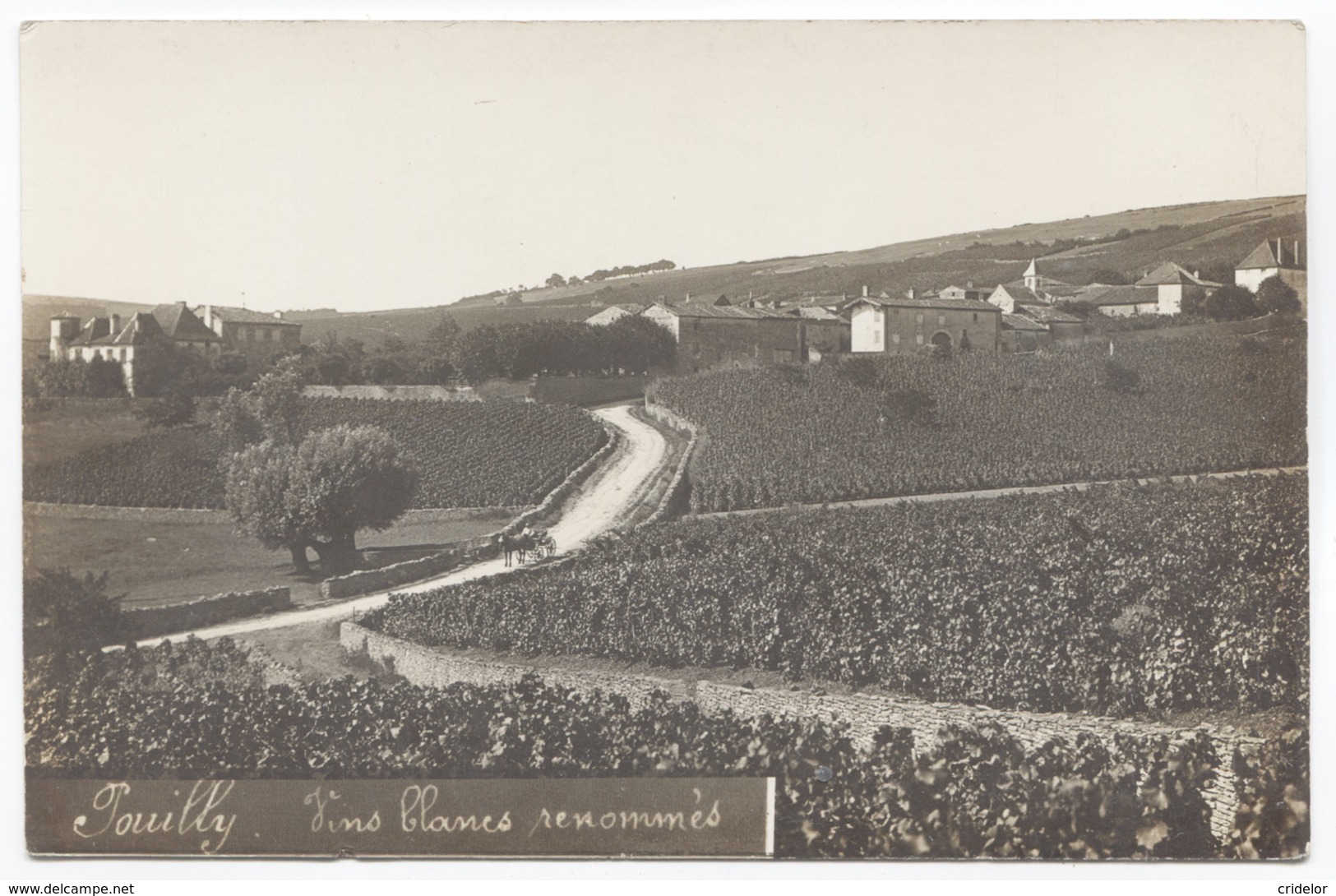 71 - POUILLY - BELLE CARTE PHOTO - VIN VIGNES - VOIR ZOOM - Autres & Non Classés