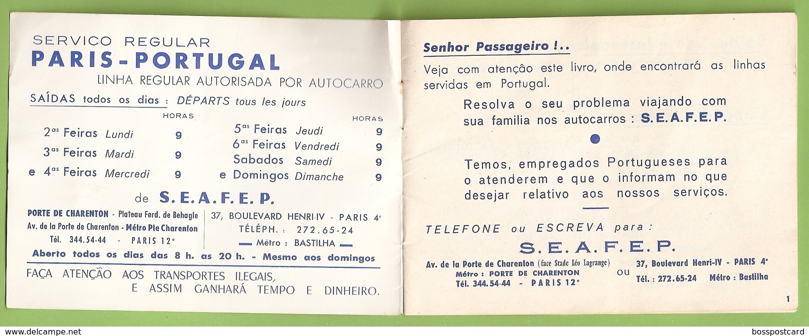 Torres Novas - Braga - Aveiro - Viseu - Faro - Lagos - Guarda - Leiria - Santarém - Horário - Autocarro - Bus - Claras - Non Classés