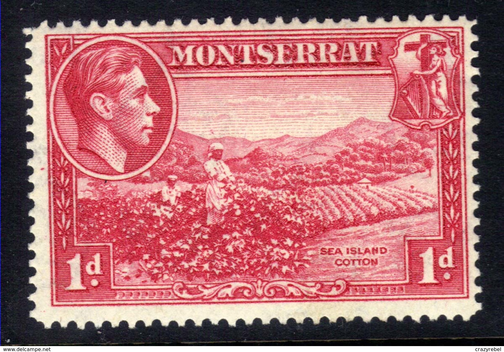 Montserrat 1938 - 48 KGV1  1d Carmine Sea Island Cotton MM SG 102 ( T90 ) - Montserrat