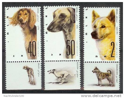 Mmg097 FAUNA HONDEN SALUKI SLOUGHI CANAAN DOGS HUNDE CHIENS PERROS ISRAËL 1987 PF/MNH - Honden