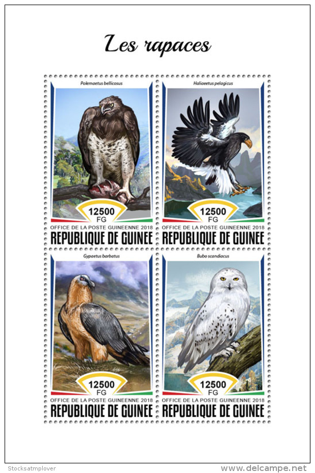 Guinea 2018 Birds Of Prey  S201809 - Guinea (1958-...)