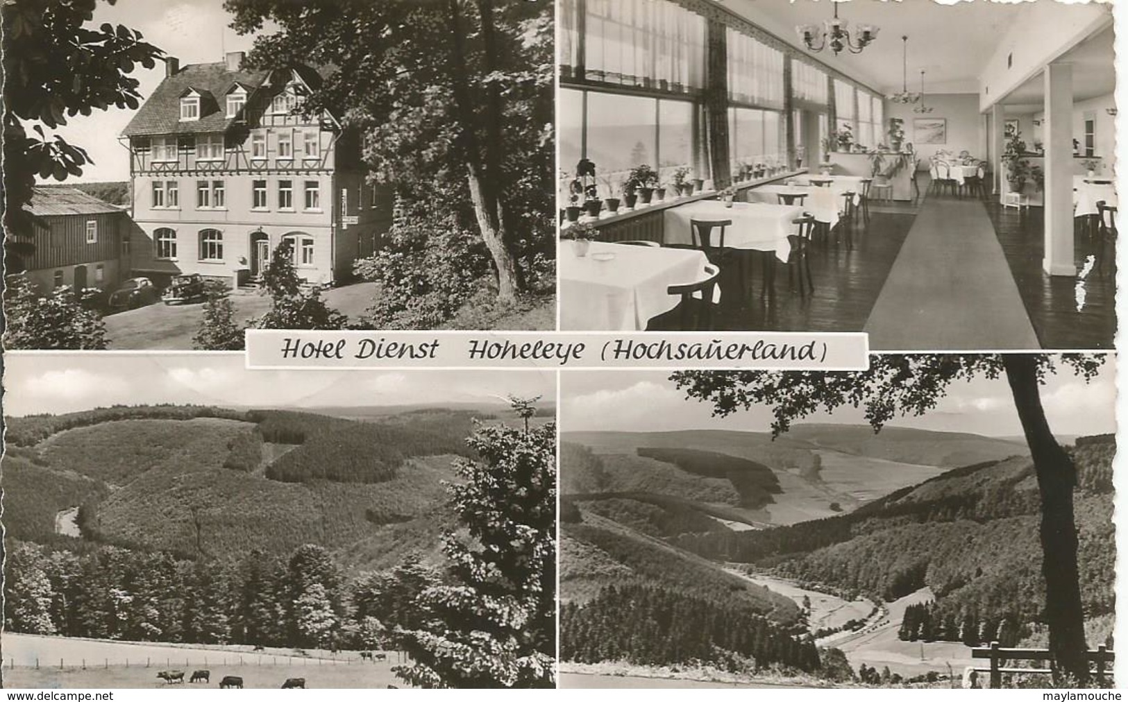 Hochsauerland Honeleye - Marsberg