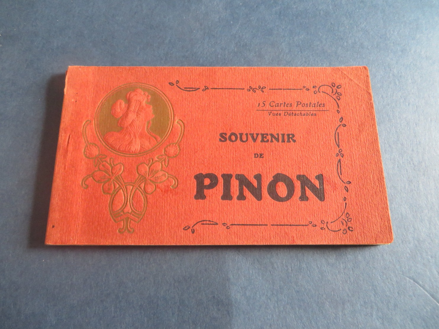 TRES RARE CARNET DE PINON Dans L'AISNE Manque 1 Carte,motif De La Tete En Relief - Other & Unclassified